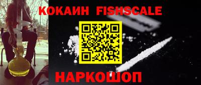 гидра Камышлов