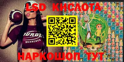 гидра Камышлов