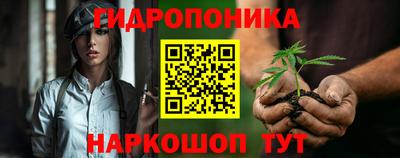 МДПВ Канаш